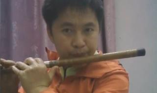 为什么偏偏喜欢你 为什么偏偏喜欢你